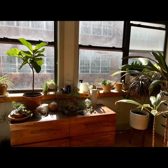 Meet your Posher, Anna - Picture 4 of 4